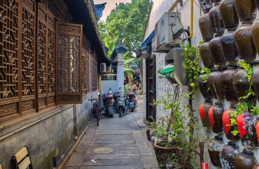 了解三伏天,苦瓜和它天生一对,清热又解暑,饱腹又瘦身,多吃不长胖的知识星球,拓展学习视野